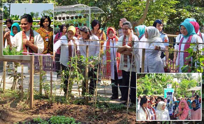 Ibu Iriana Widodo Kunjungi KRPL Kampung Sejahtera Binaan Kementan di Tangerang